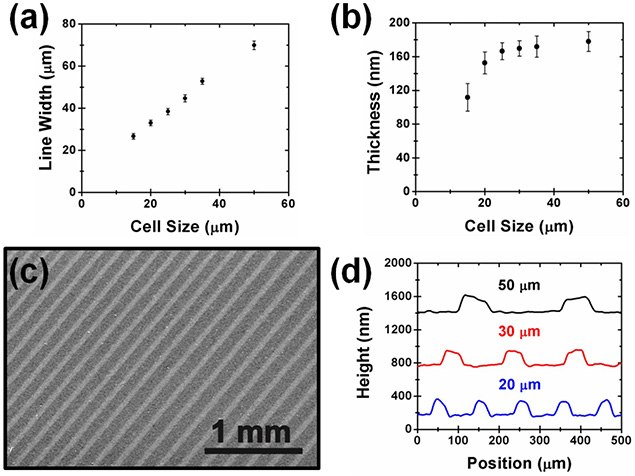 Characterization of gravure printed graphene lines