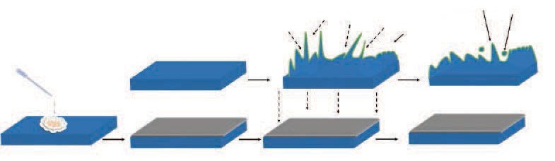 Schematic representation of Li plating/stripping