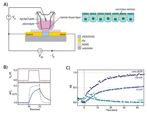 Applications in Whole Cell Biosensors