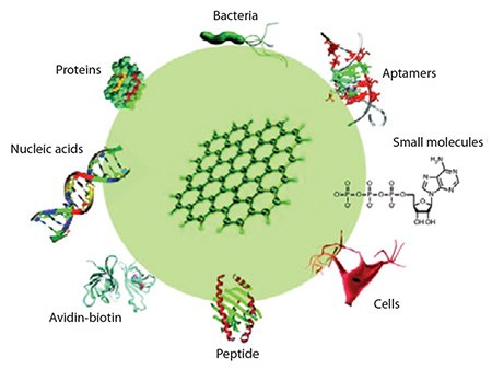 Biofunctionalization of graphene and its derivatives