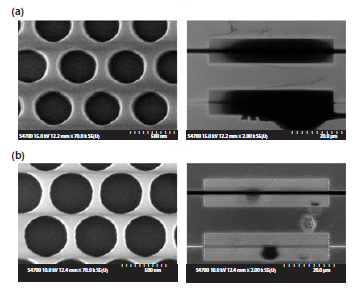 Scanning-electron microscope