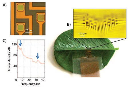 Applications in Brain Recordings