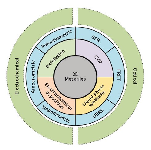 An overview of various synthesis methods (i.e., exfoliation, chemical-vapor deposition (CVD), electrochemical deposition and liquidphase synthesis) of 2D materials for application in electrochemical biosensors (i.e., amperometric, potentiometric, and impedimetric methods) and optical biosensors (i.e. FRET: Forster resonance energy transfer, SERS: surface-enhanced Raman spectroscopy, and SPR: surface plasmon resonance)