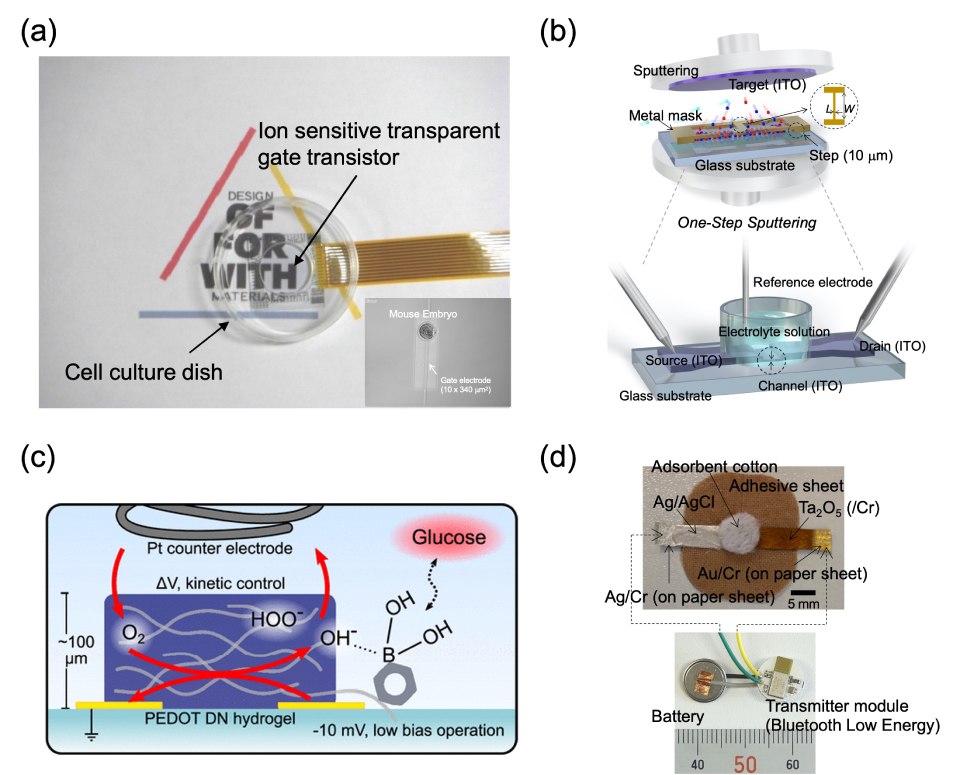 The top left, labeld a, highlights an ion-sensitive transparent-gate transistor (ISTGT) designed for visible cell sensing, shown alongside a cell culture dish. The ISTGT offers a transparent and sensitive platform for monitoring cellular activities, making it suitable for a wide range of biomedical and bioelectronic applications. The clear visualization of the ISTGT and its integration with cell culture emphasizes its potential for real-time and non-invasive cell sensing, contributing to advancements in cellular research, drug screening, and diagnostics. The top right, labeled b,  illustrates one-step sputtering with a controlled metal shadow mask for the all-by-ITO technology, alongside the conceptual structure of a solution-gated ultrathin channel ITO-based FET sensor. The technology and sensor design offer a comprehensive and efficient approach to the fabrication and operation of FET sensors. The one-step sputtering process and the ultrathin channel FET sensor concept demonstrate key advancements in sensor manufacturing and functionality, especially in the field of biosensing and point-of-care diagnostics. The bottom left, labeled c, showcases a double-network hydrogel integrated into an organic electrochemical transistor (OECT) configuration, along with a proposed mechanism for glucose sensing. The integration of the double-network hydrogel with the OECT platform offers a versatile and responsive system for glucose sensing and bioelectronic applications. The proposed sensing mechanism provides valuable insights into the interaction between the hydrogel and glucose, highlighting the potential for accurate and sensitive glucose detection in physiological and biomedical environments. The bottom right, labeled d, displays a paper-based metal electrode and an electrical measurement system designed for wireless sensing applications. The integration of the paper-based electrode with the wireless measurement system offers a portable and low-cost solution for diverse sensing applications. The visual representation emphasizes the practical and user-friendly nature of the wireless sensing platform, showcasing its potential for remote and point-of-use environmental and biomedical monitoring.