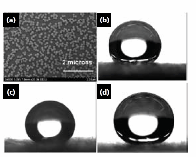 pgma modified silica