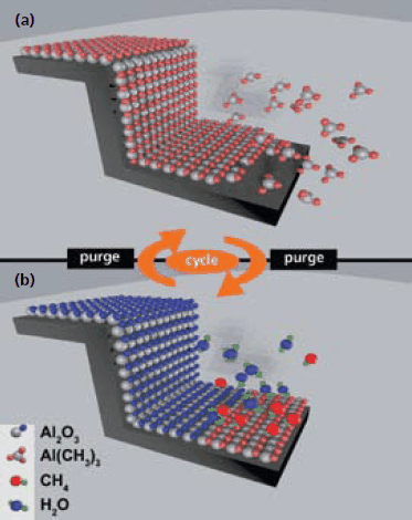 Schematic of one cycle of an ALD process. The schematic illustrates a simplified model for the deposition of Al2O3 using TMA and water as precursors.