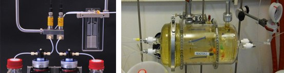 Components of a Continuous Flow Reactor