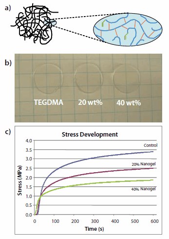 Preparation of Nanogels