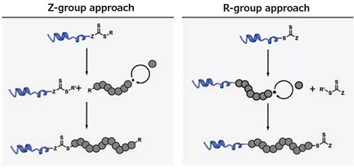 Comparison of the R- and Z-group approach