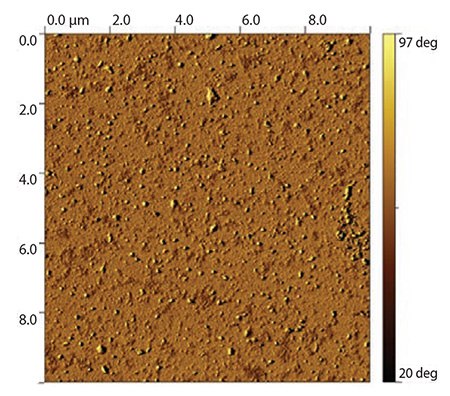 gold surface coated with thiol-terminated