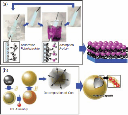 Process of LbL assembly