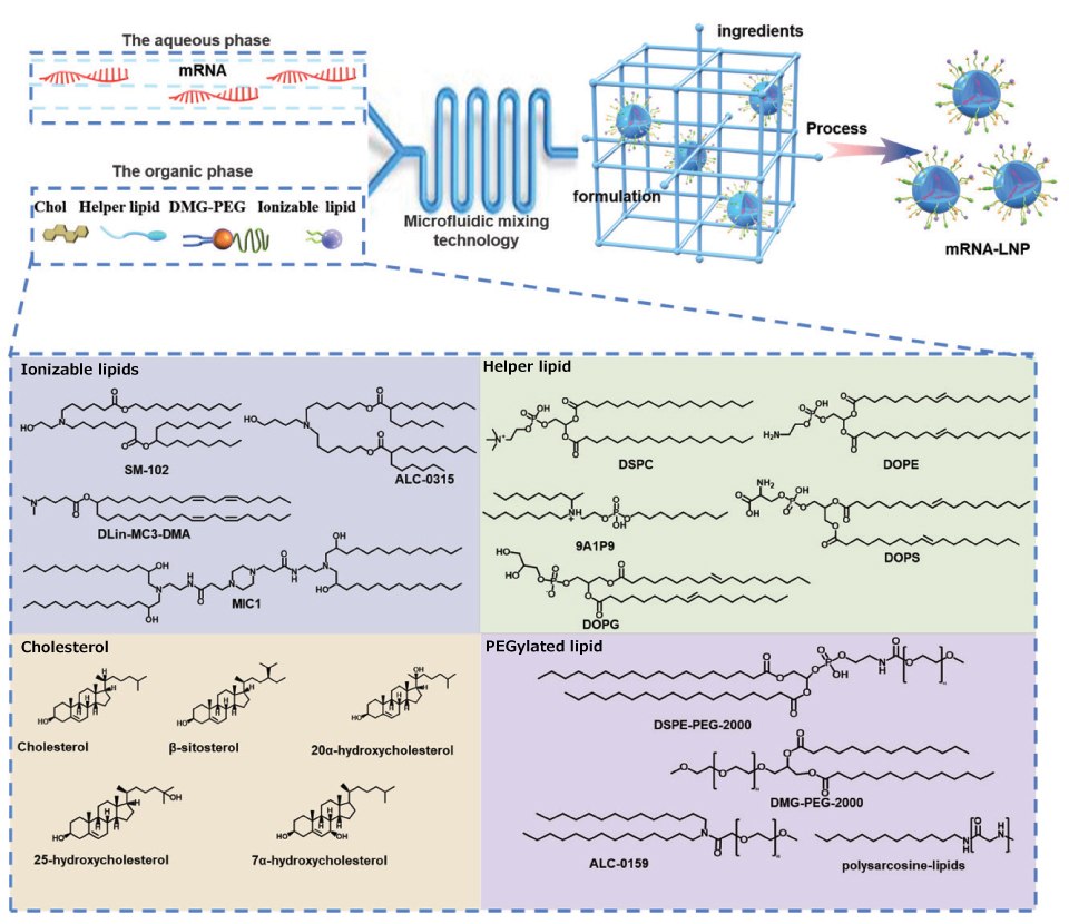 The top part of the image shows mRNA in aqueous phase and lipid nanoparticles in organic phase having four components, ionizable cationic lipids, phospholipids, cholesterol, and PEGylated lipids. The two phased are then shown to have combined with microfluidic mixing technology which forms a mRNA-LNPs. The bottom part shows different examples of the four components of LNPs with their structural formulas.