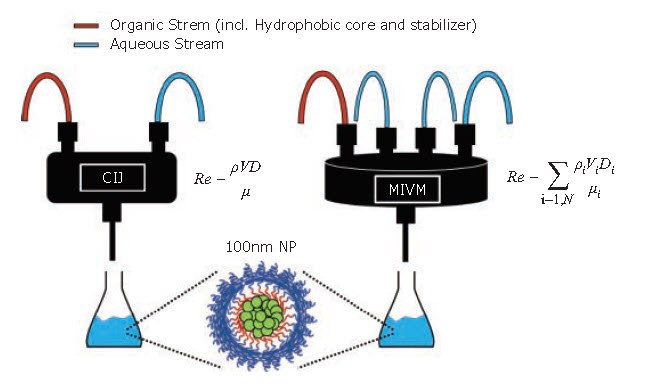 Schematic of the FNP process at various scales