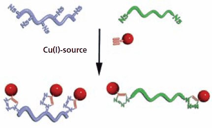 Schematic illustration of the functionalization