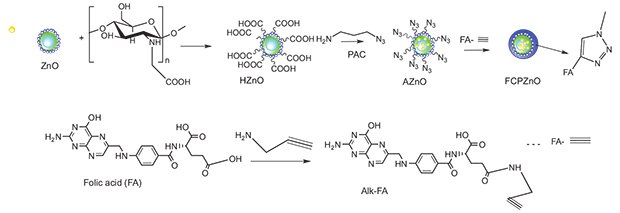 Schematic representation of the approach used to functionalize folic