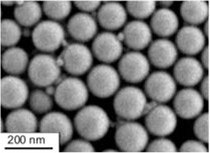 SEM image of PLLA-1 showing spherical shape and narrow polydispersity.