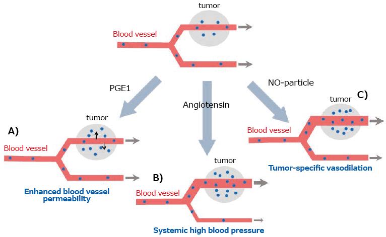 Strategies of Enhancement in EPR Effect