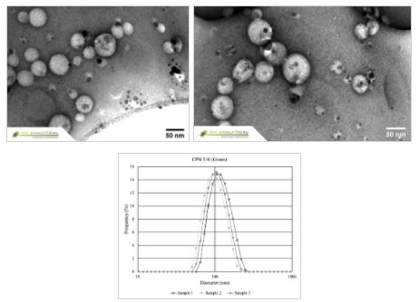 CPNs display excellent uniformity in size and shape