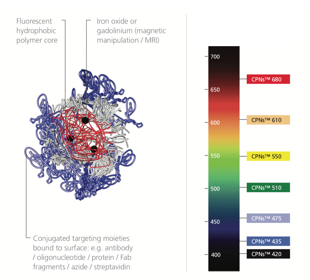 CPN structure alongside a light spectrum labeled with the range of CPNs available