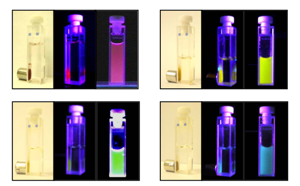 Solutions of CPNs under UV illumination and magnetic fields