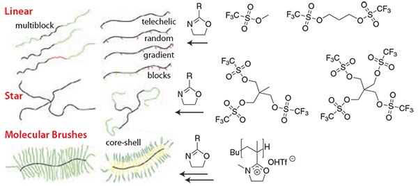 The structural and chemical variability of POx