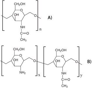 Chemical structure of A) chitin and B) chitosan.