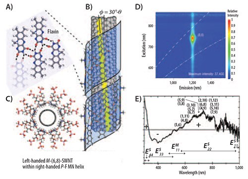 Flavin mononucleotide (FMN) self-organizes around SWNT through helical wrapping.