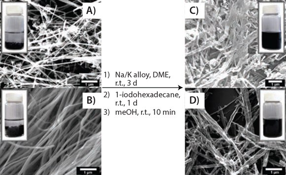 Solubility test. SEM images showing the splitting and functionalizing