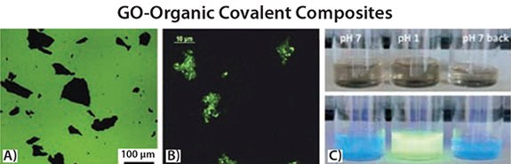 GO sheets quenching the fluorescence of a thin layer of oligothiophene molecules 