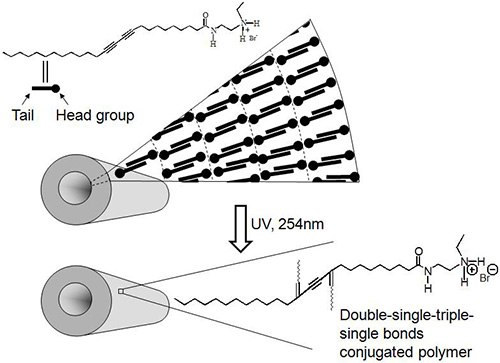 Polydiacetylene nanotubes before and after UV-polymerization.