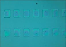 Oxygen plasma treated PDMS surface: 1st imprint