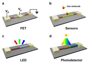 Schematic diagrams of a device using the 1D vdWHs