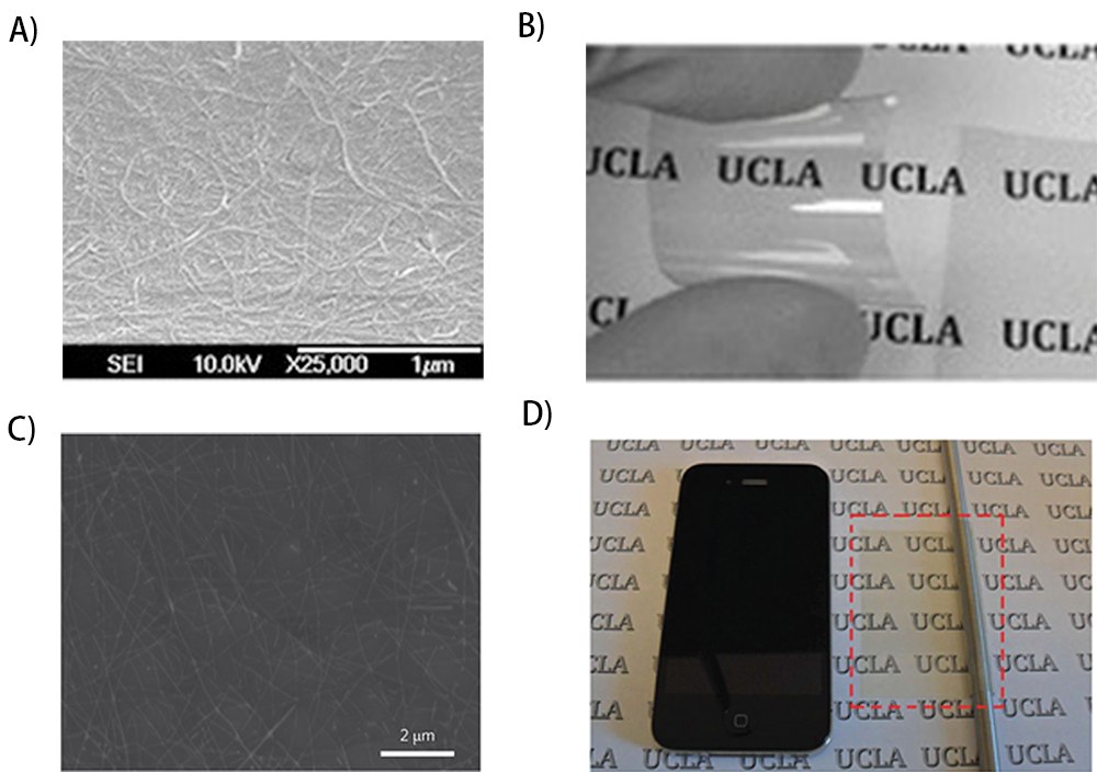 SEM image of conductive surface of the SWCNT-PtBA electrode