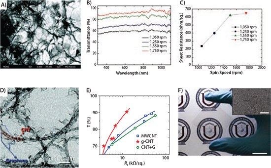 An SEM image of a solution-processed graphene-CNT hybrid film