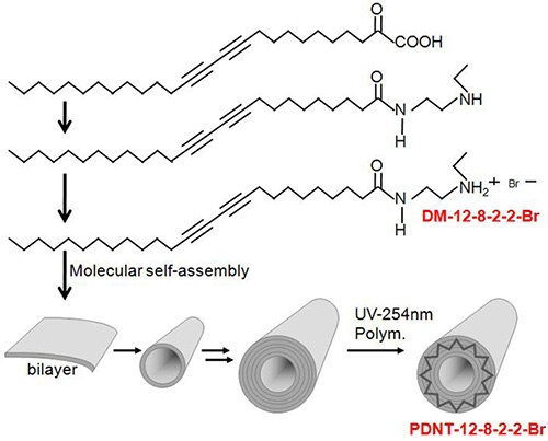 Synthesis and molecular self-assembly of a single chain diacetylene monomer and polydiacetylene nanotubes (PDNT).