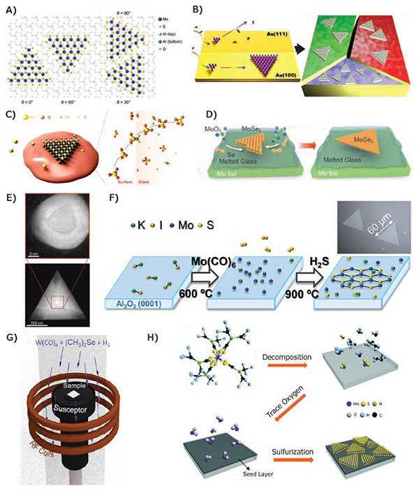 Substrate and nucleation engineering for growth control.