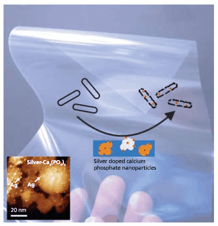 Composite nanoparticles with 1-2 nm silver nanoparticles homogeneously distributed on calcium phosphate carrier nanoparticles