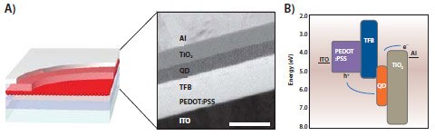 Fluorescent Nanocrystals
