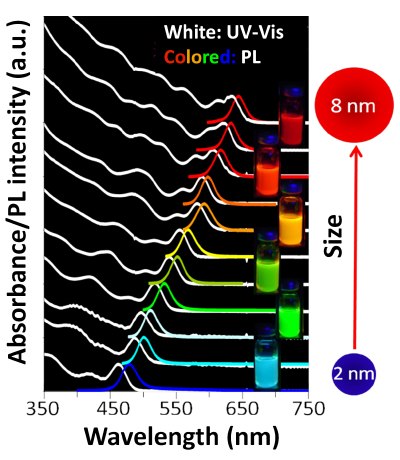 Size-dependent absorption and emission properties of CdSe quantum dots.