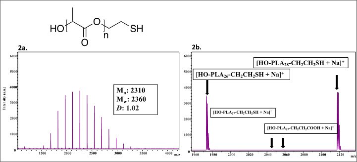 The image features two panels labeled 2a and 2b. Panel 2a shows a mass spectrum graph with purple peaks representing intensity versus mass-to-charge ratio (m/z), with significant peaks around 2310 and 2360 m/z. Below the graph, the values for the number-average molecular weight (M_n) are 2310, weight-average molecular weight (M_w) is 2360, and dispersity (D) is 1.02. Panel 2b displays additional mass spectrum peaks labeled as [HO-PLA26-CH2CH2SH + Na]+, [HO-PLAxy-CH2CH2SH + Na]+, and [HO-PLAxy-CH2CH2COOH + Na]+, with arrows pointing to the peaks around 1960, 2080, and 2100 m/z, respectively.