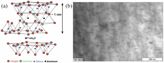 Nanoclay Schematic