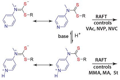 RAFT Agent capable of polymerization