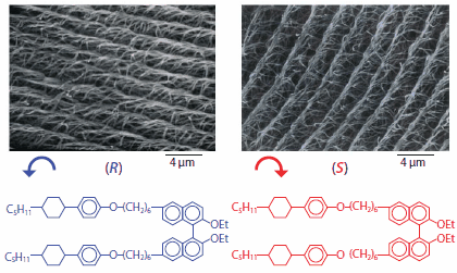 SEM photographs of helical polyacetylene films synthesized in the N*-LCs including (R)- 6,6’-PCH506-2,2’-Et-Binol. The left- and right-handed screw directions of helical polyacetylenes are determined by the chirality of the chiral dopants with R- and S-configurations, respectively.