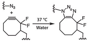 SPAAC between an azide and a difluorocyclooctyne eliminates the need for a copper catalyst and allows material fabrication under physiological conditions.