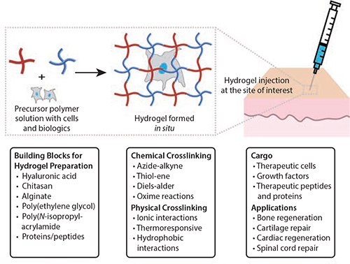 Injectable hydrogels for cell delivery and tissue engineering applications