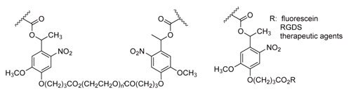 Photodegradable o-NB moieties incorporated into hydrogel backbone and for therapeutic agent release