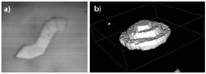 Standard laser scanning