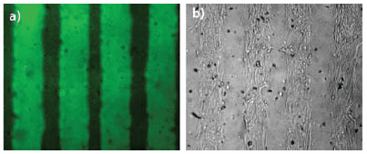 Transparency-based patterning