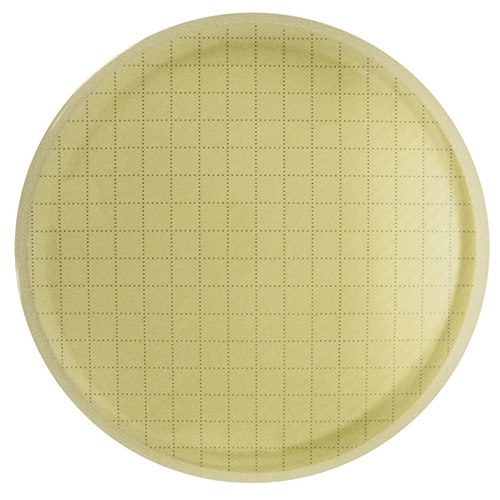 Agar plate, microbial membrane Alt text: Agar plate with membrane, no bacteria colonies visible