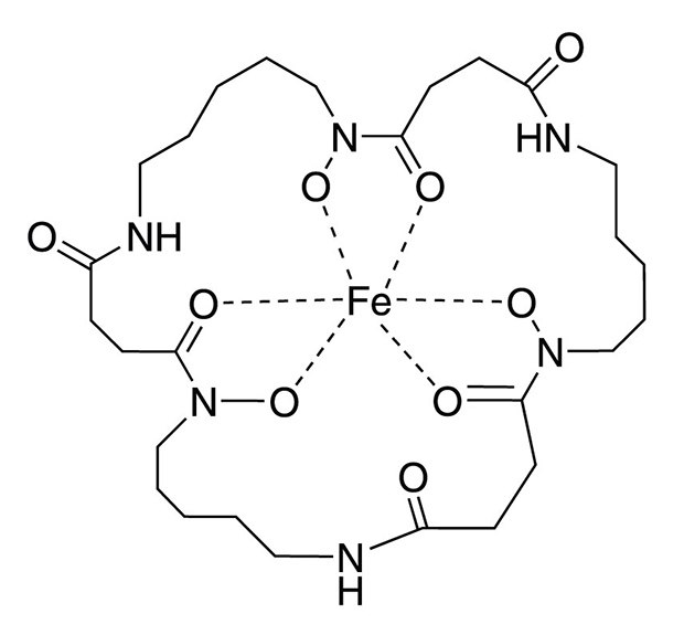 Structure of Ferrioxamine E